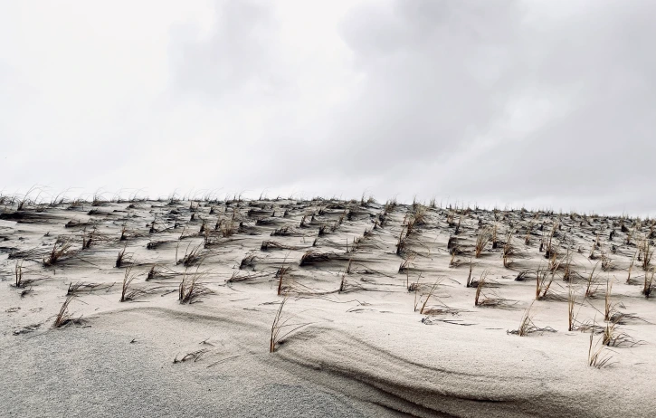 May Gil Photography - the image shows a textured dune landscape with evenly planted dune grass